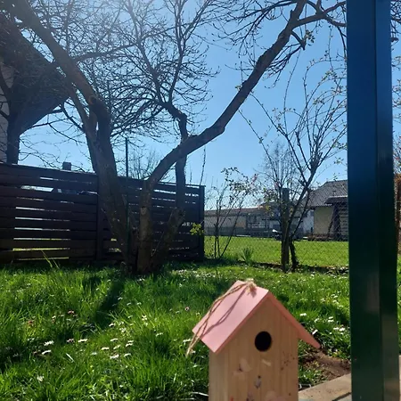 Apartma Iva アパート *